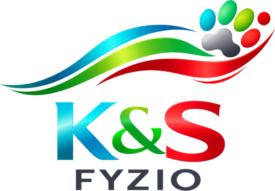 K&S Fyzio – Posúvame hranice pohybu